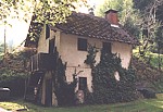 Backhaus