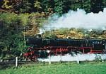 Volldampf mit der Schwarzwaldbahn