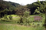 Natur