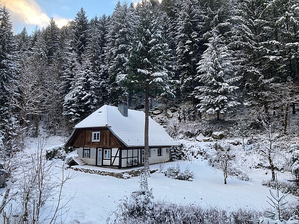 Unser Waldhaus